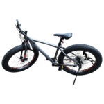 Northrock XCF Fat Tire Bike